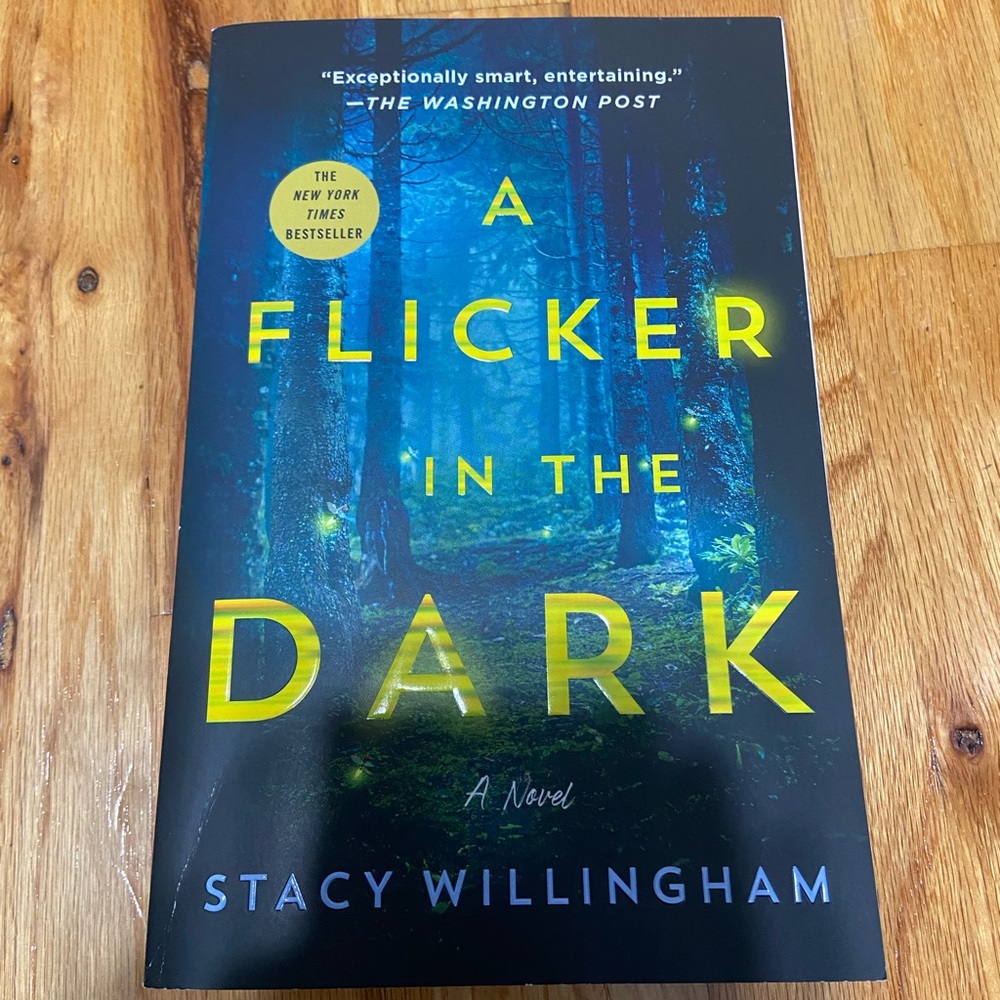 A Flicker in the Dark Novel
